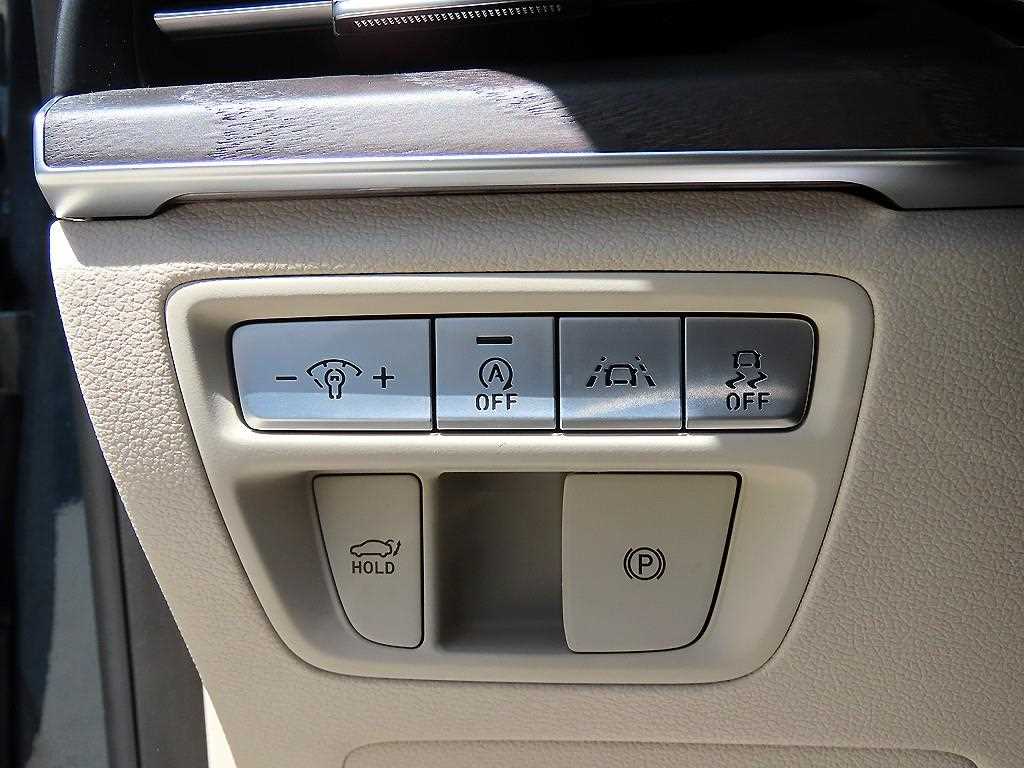 Genesis G80 - Vista 12
