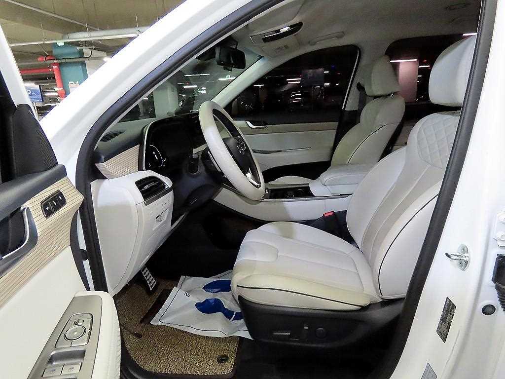 HYUNDAI Palisade - Vista 6