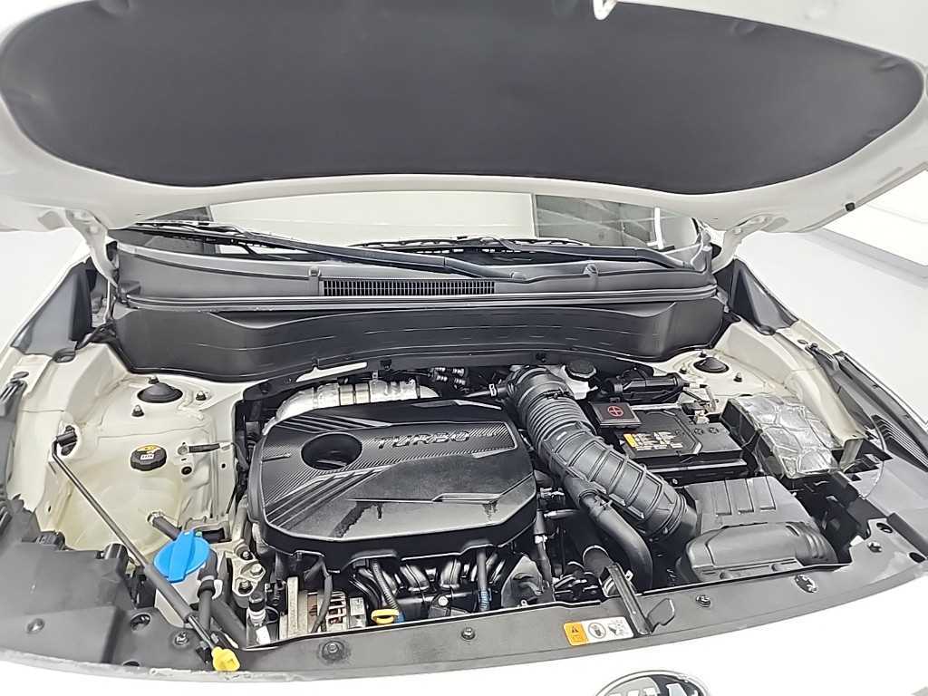 KIA Seltos - Vista 5