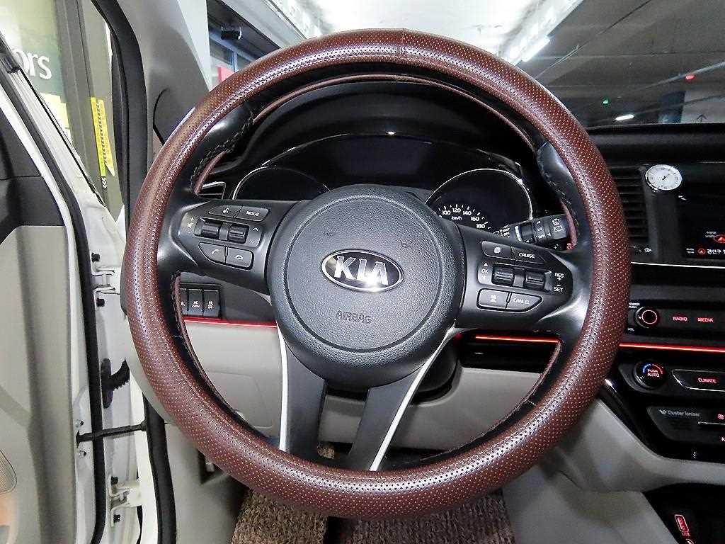 KIA Carnival - Vista 8