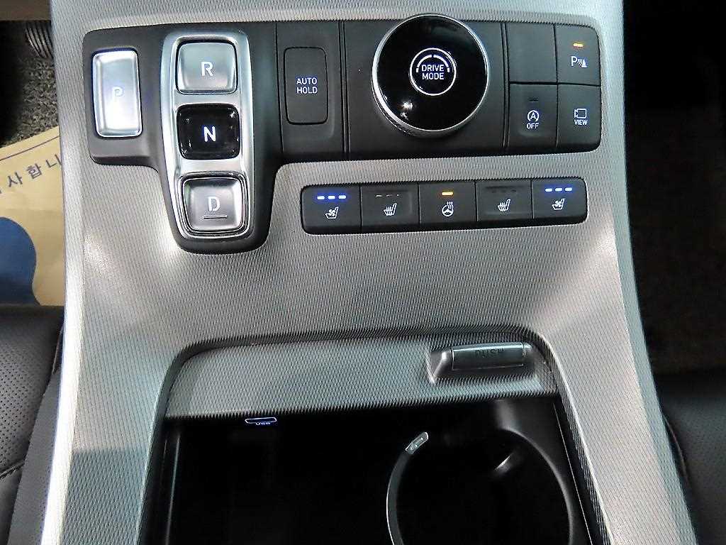 HYUNDAI Palisade - Vista 10