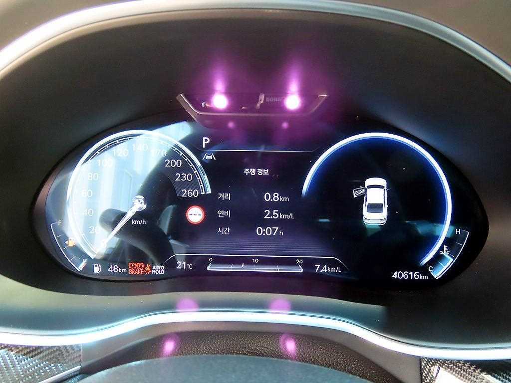 Genesis G80 - Vista 9