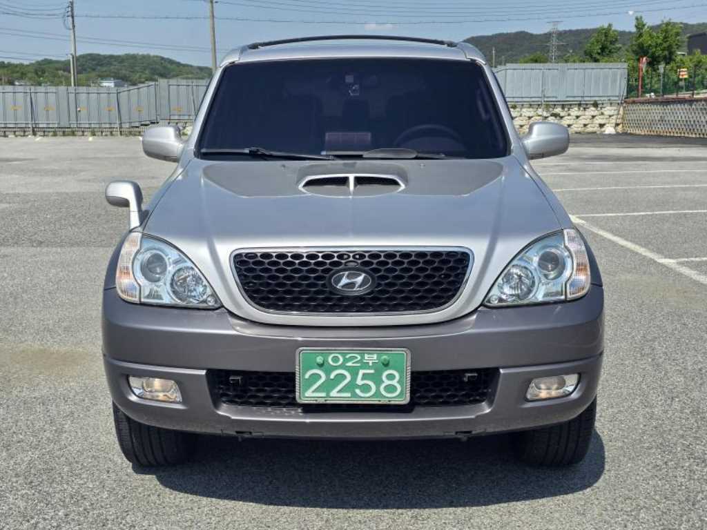 HYUNDAI Terracan - Vista 2