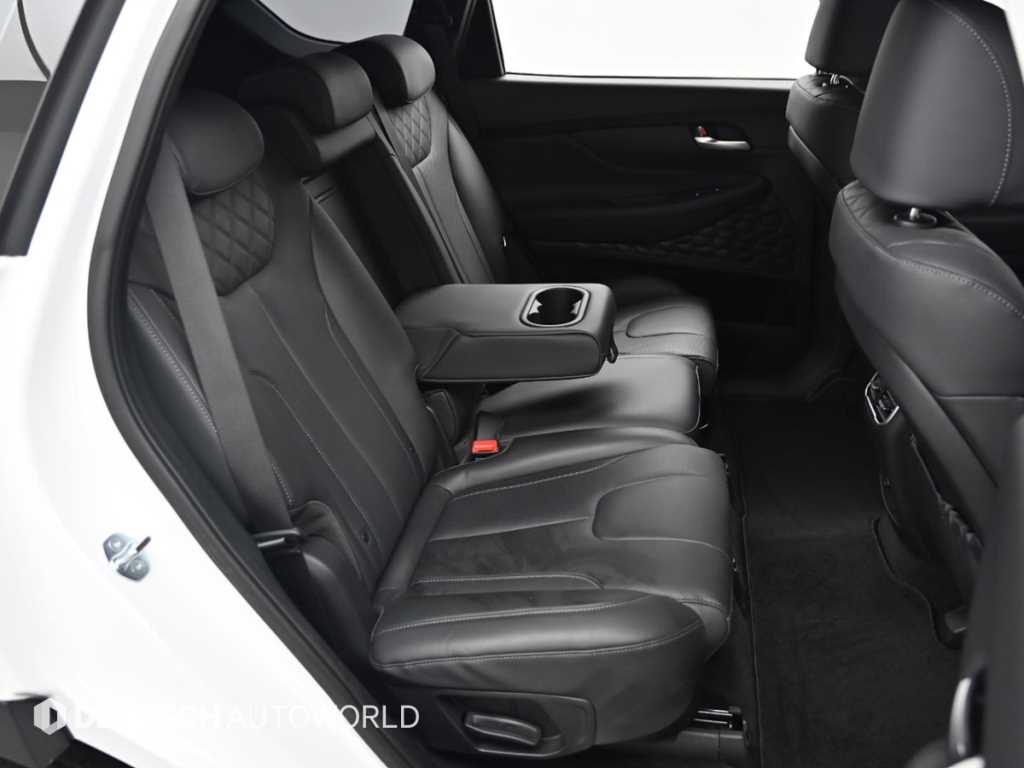 HYUNDAI Santa Fe - Vista 12