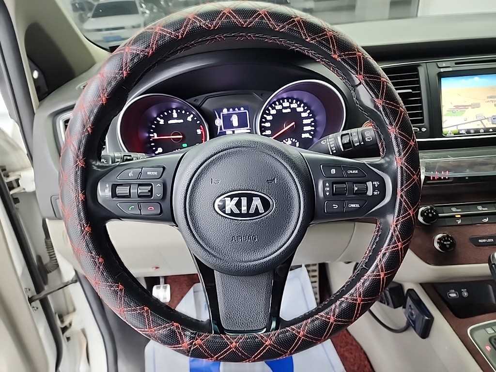 KIA Carnival - Vista 9