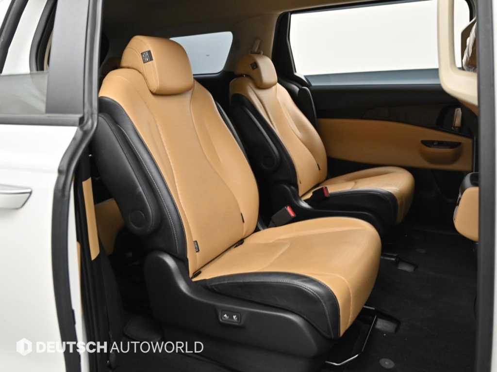 KIA Carnival - Vista 12