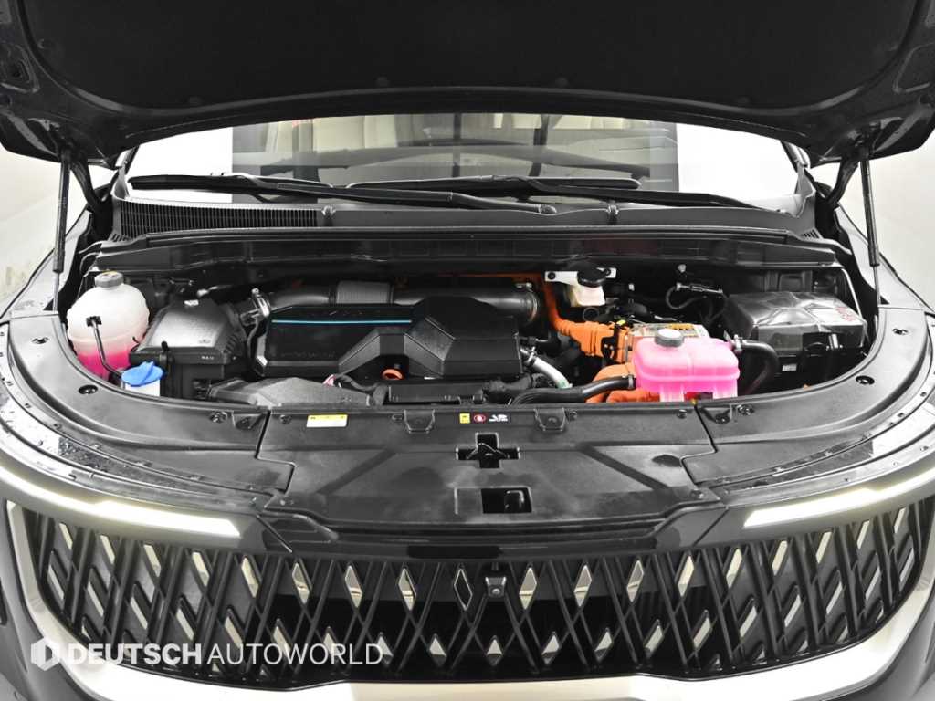 KIA Carnival - Vista 6