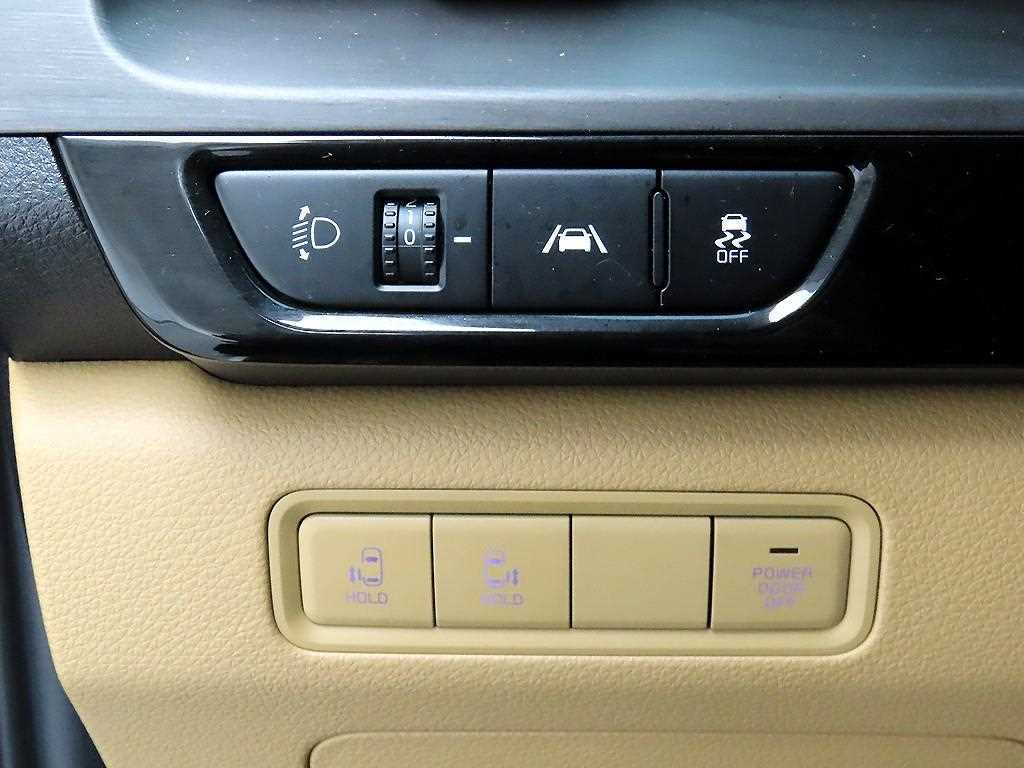 KIA Carnival - Vista 12