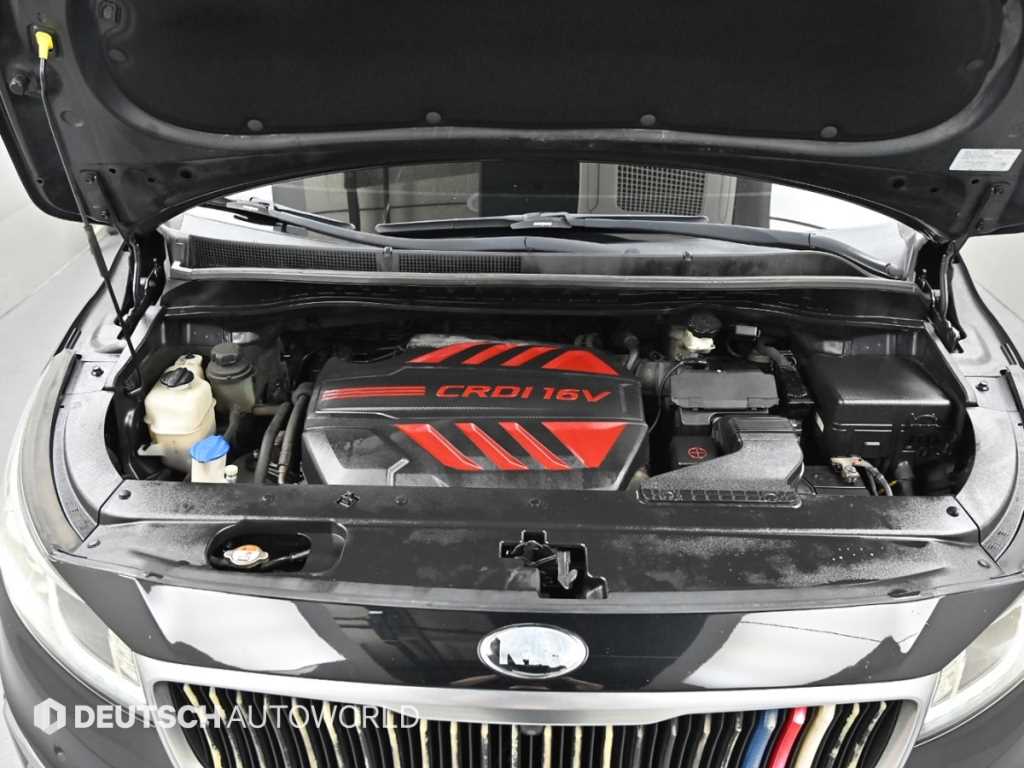 KIA Carnival - Vista 6