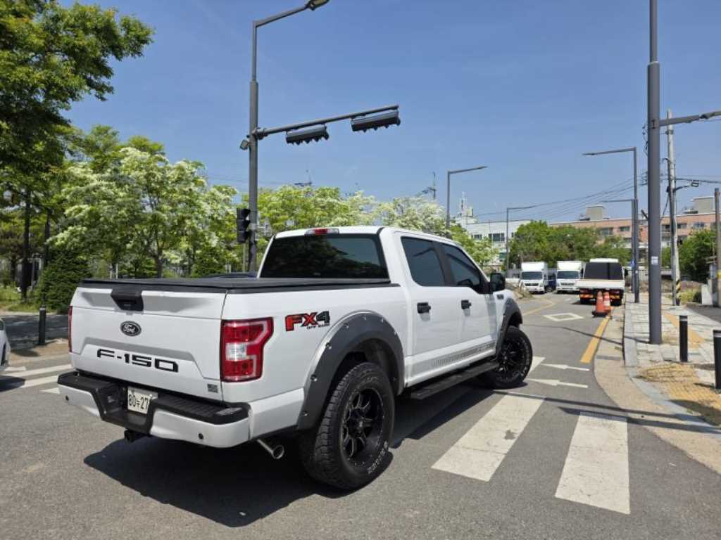 Ford F-Series - Vista 3