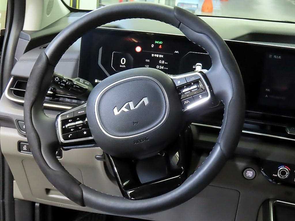 KIA Carnival - Vista 8