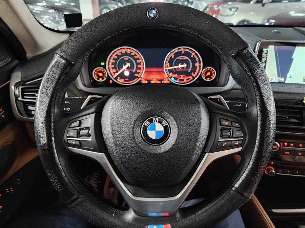 BMW X6 - Vista 12