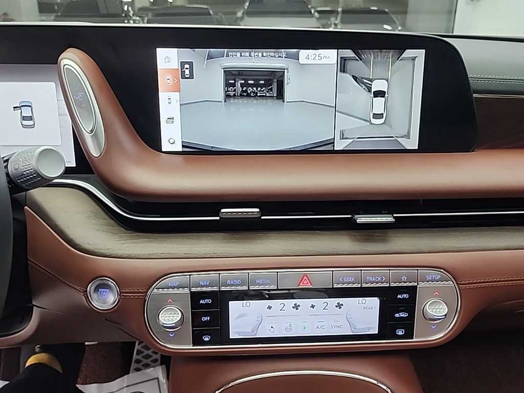 Genesis G90 - Vista 10