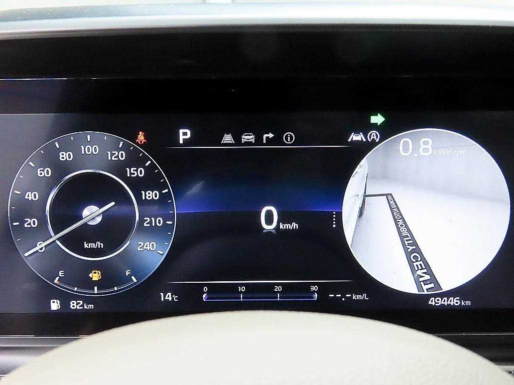 KIA Carnival - Vista 8