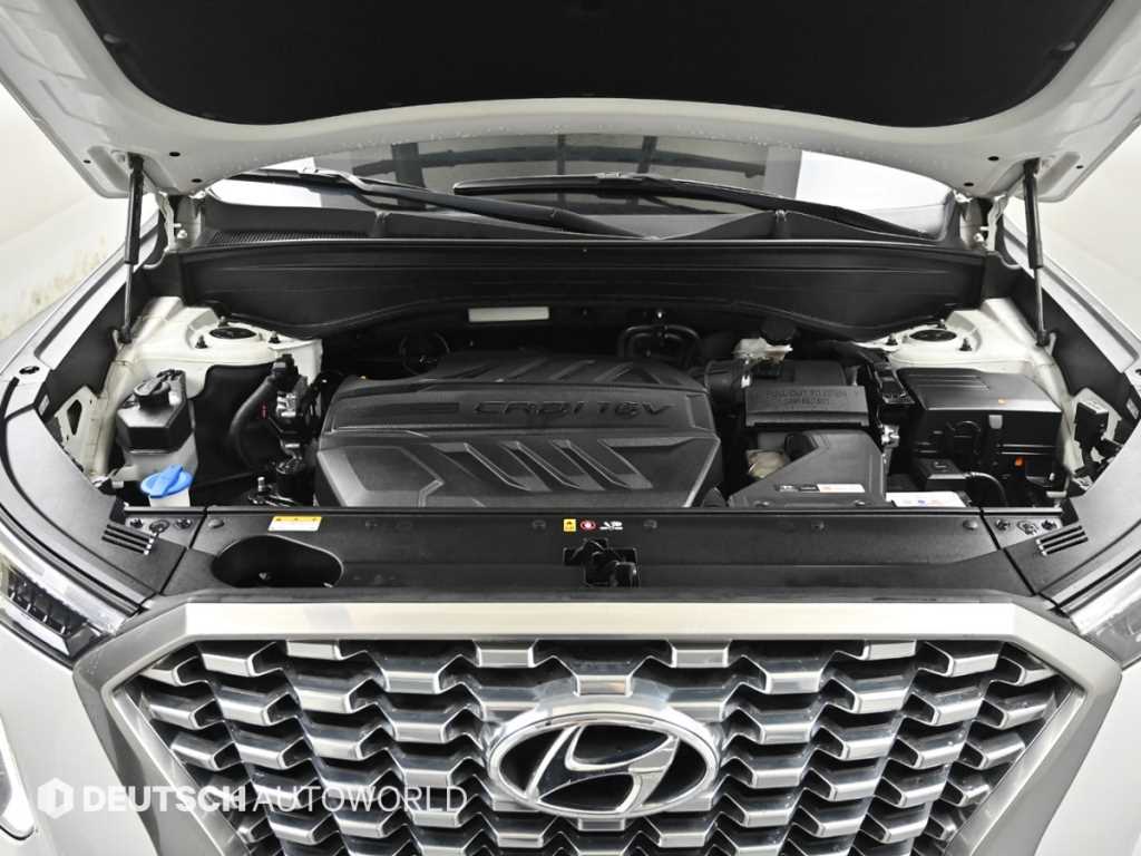 HYUNDAI Palisade - Vista 6