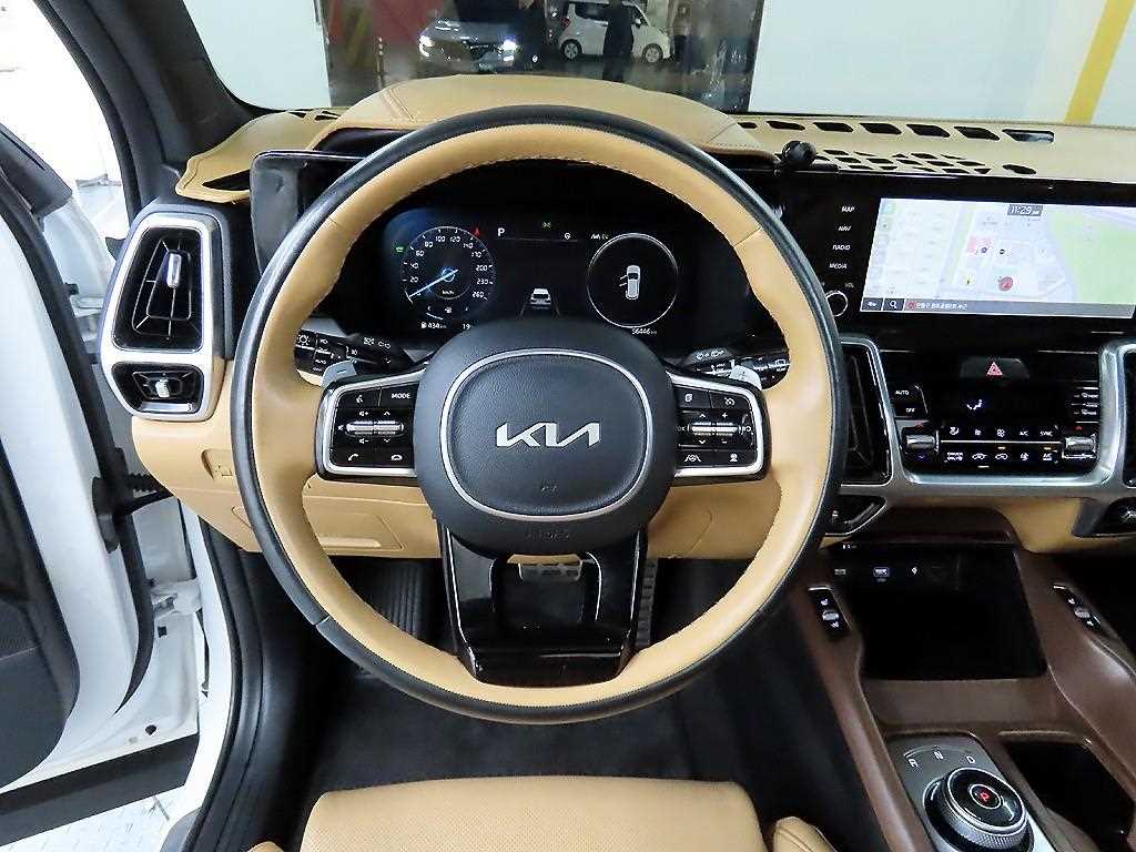 KIA Sorento - Vista 9