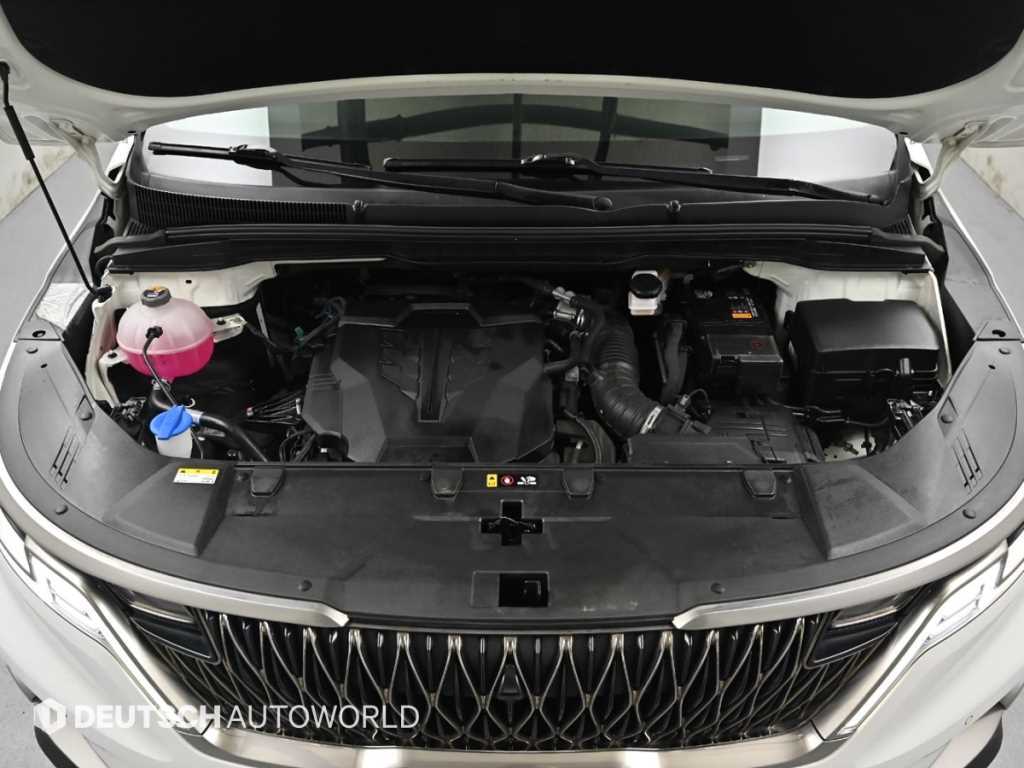 KIA Carnival - Vista 6