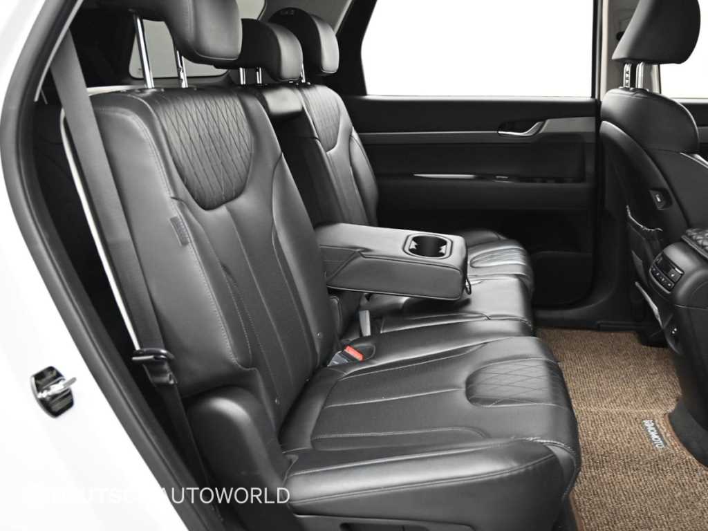 HYUNDAI Palisade - Vista 12