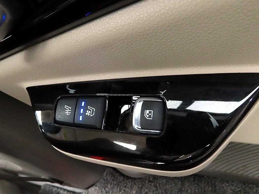 KIA Carnival - Vista 12