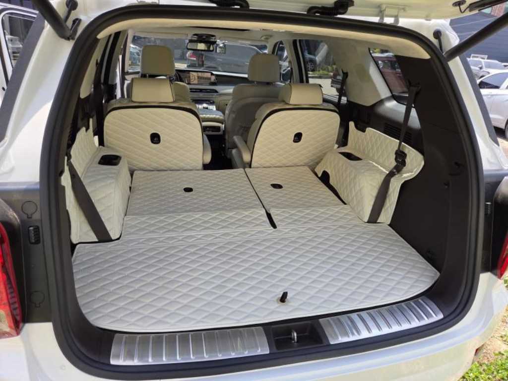 HYUNDAI Palisade - Vista 4