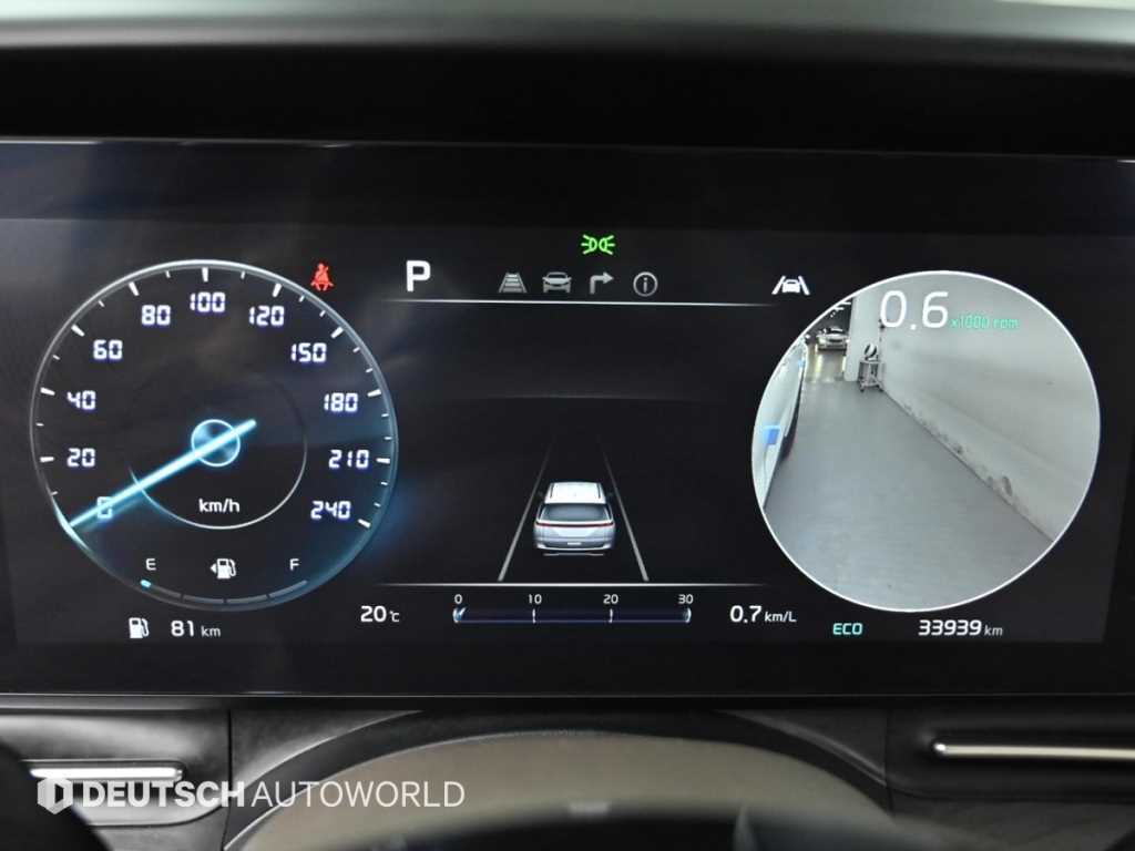 KIA Carnival - Vista 8