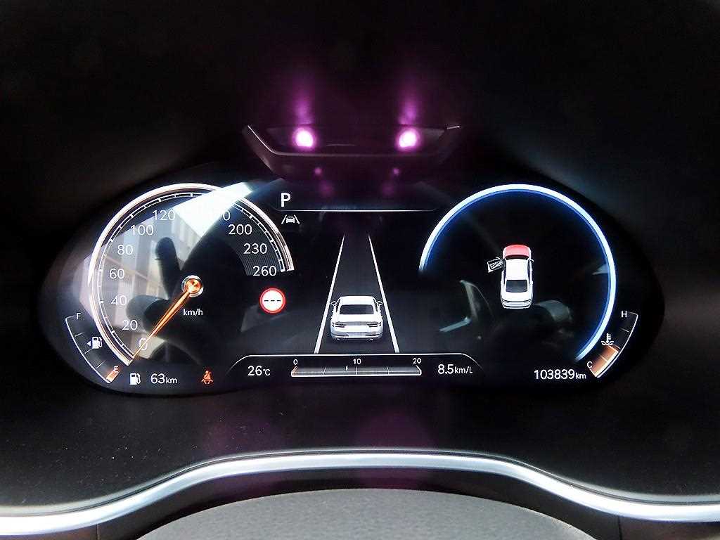 Genesis G80 - Vista 9