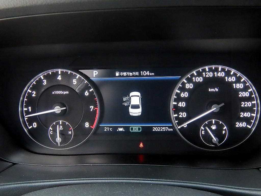 Genesis G90 - Vista 9