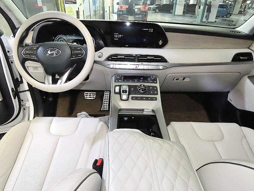 HYUNDAI Palisade - Vista 10