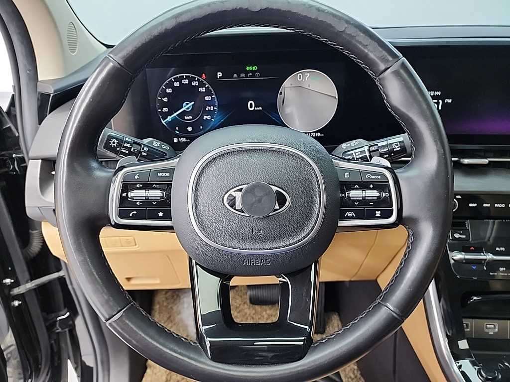 KIA Carnival - Vista 9