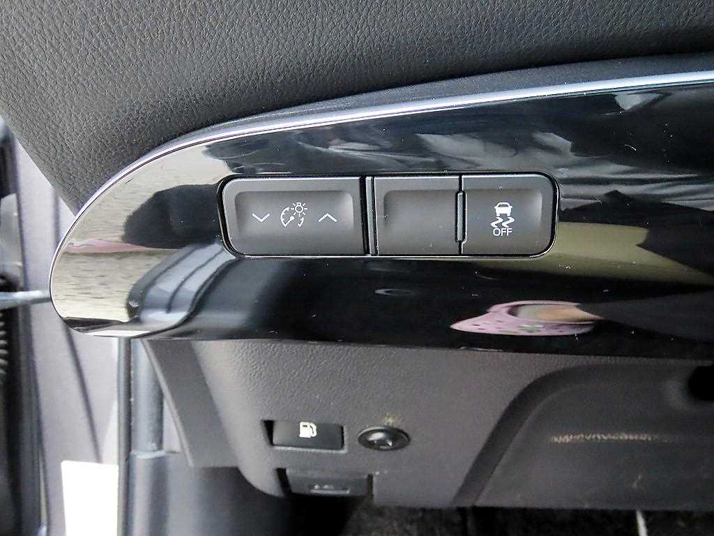 Toyota Prius - Vista 12