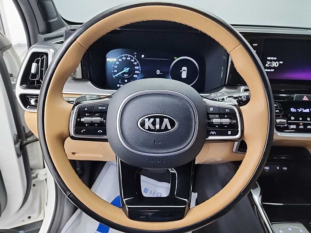 KIA Sorento - Vista 9