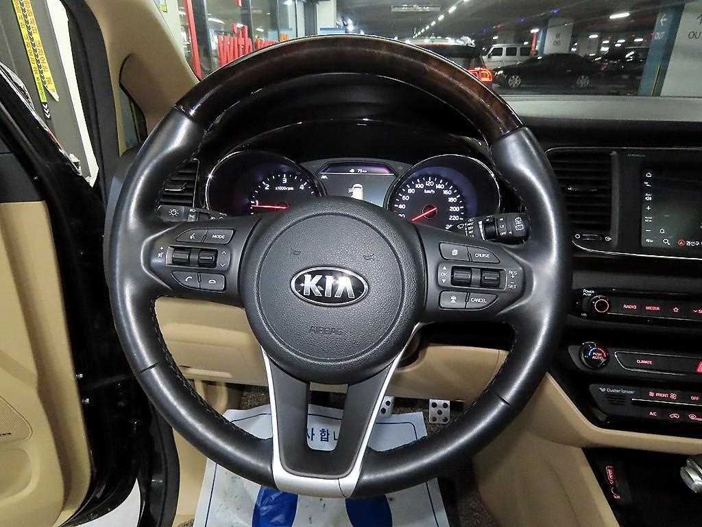 KIA Carnival - Vista 8