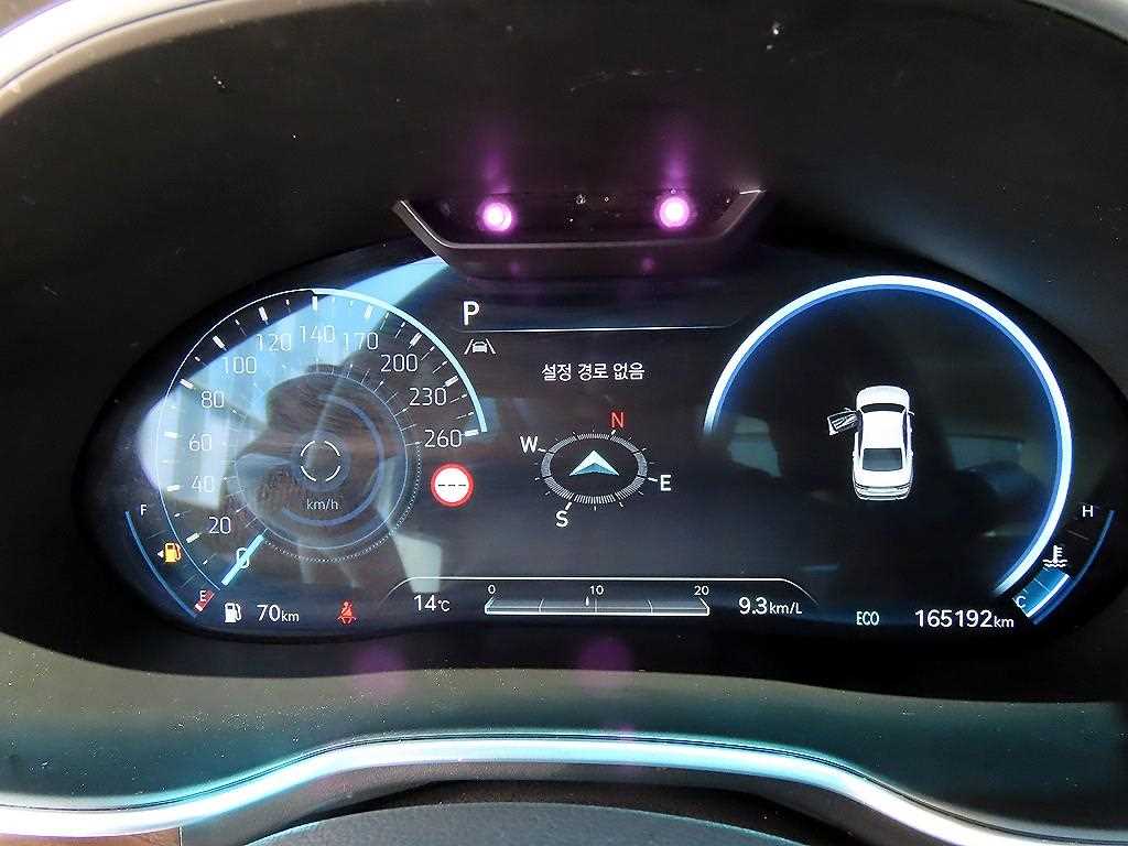 Genesis G80 - Vista 9