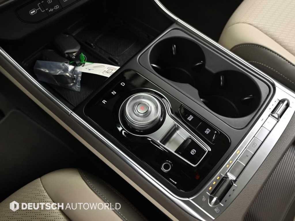 KIA Carnival - Vista 9