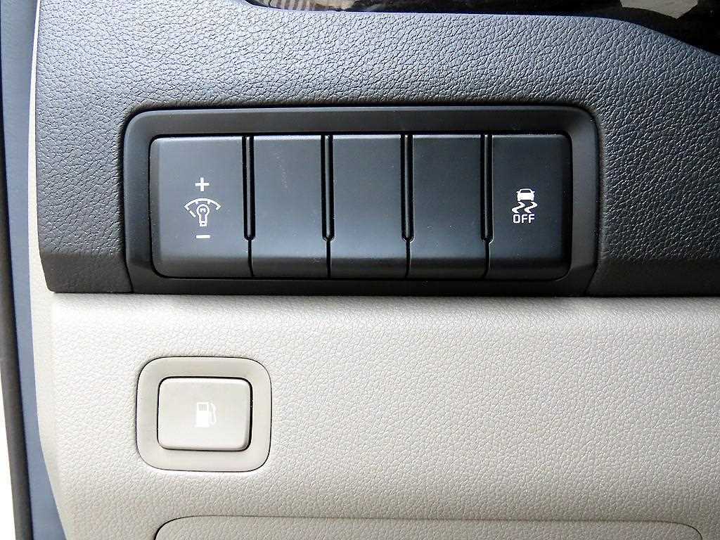 KIA Carnival - Vista 11