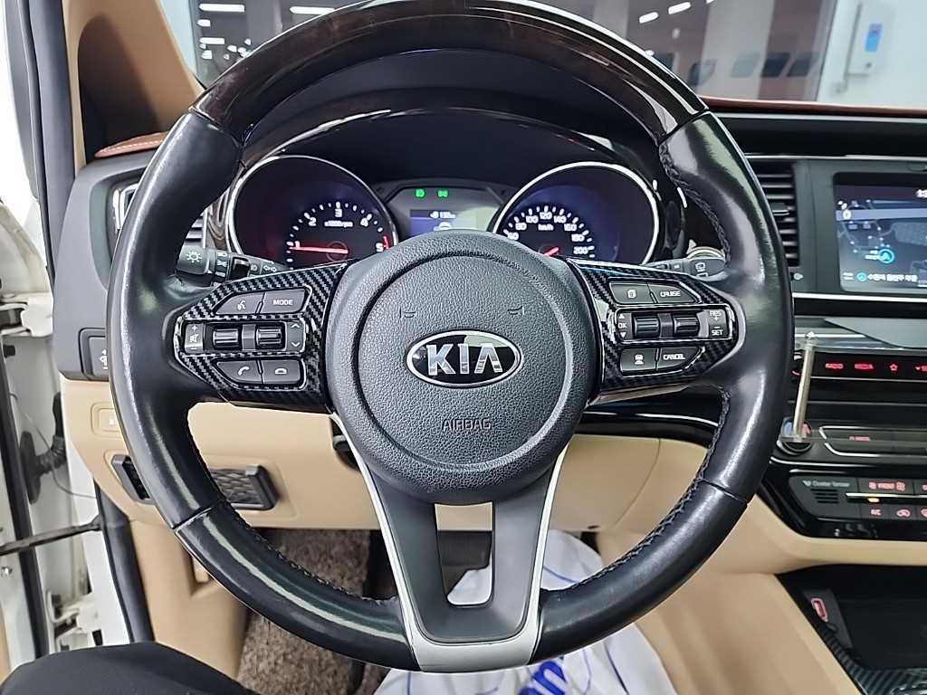 KIA Carnival - Vista 9