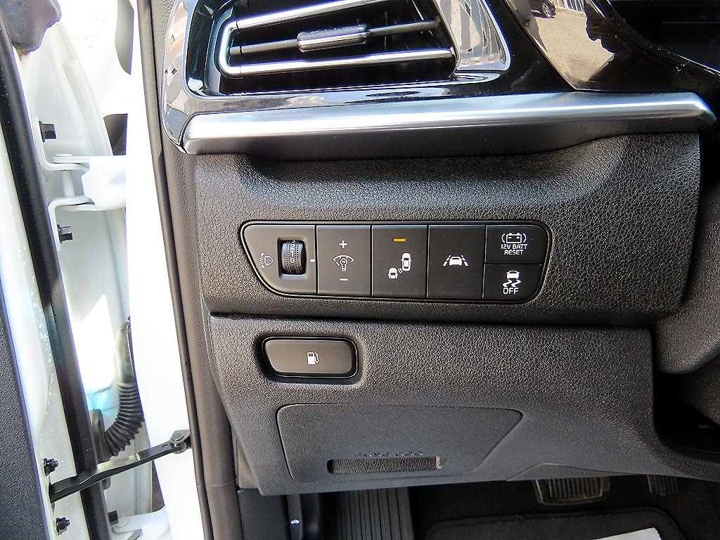 KIA Niro - Vista 12