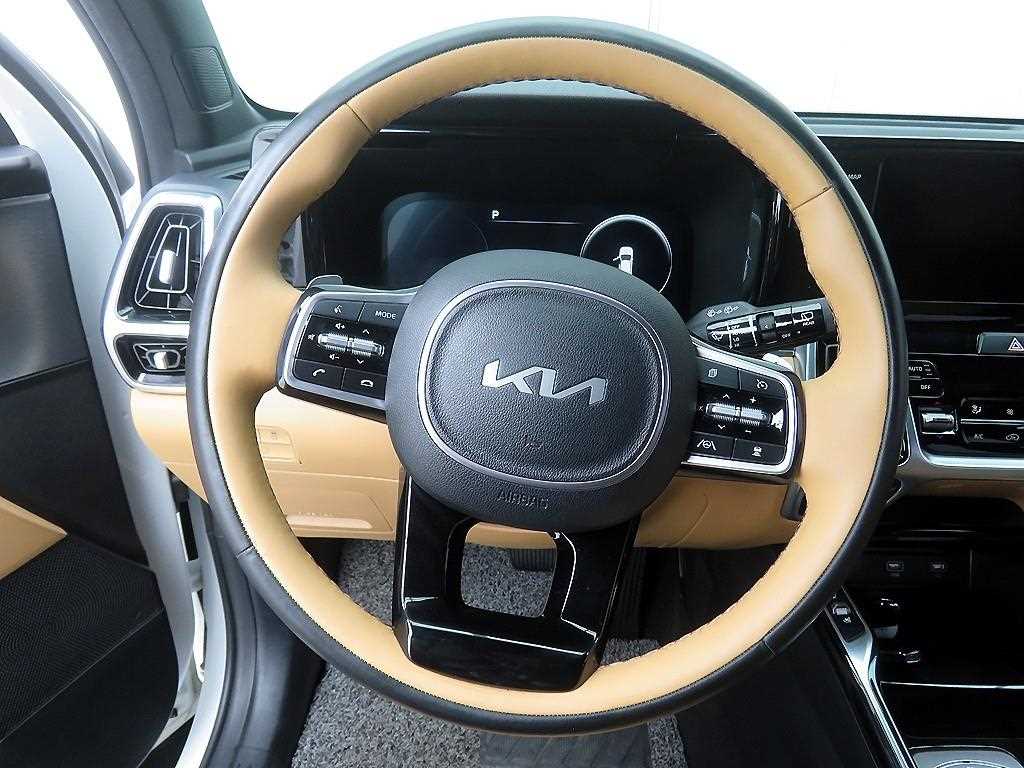 KIA Sorento - Vista 10