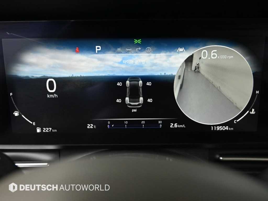 KIA Carnival - Vista 8
