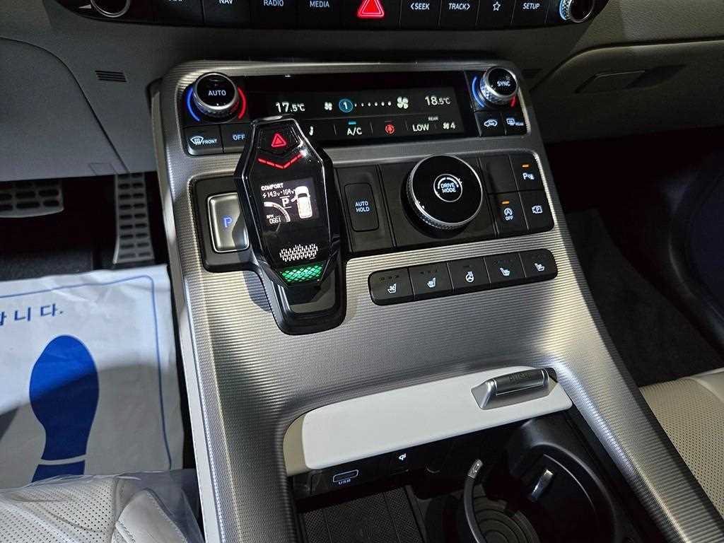 HYUNDAI Palisade - Vista 12