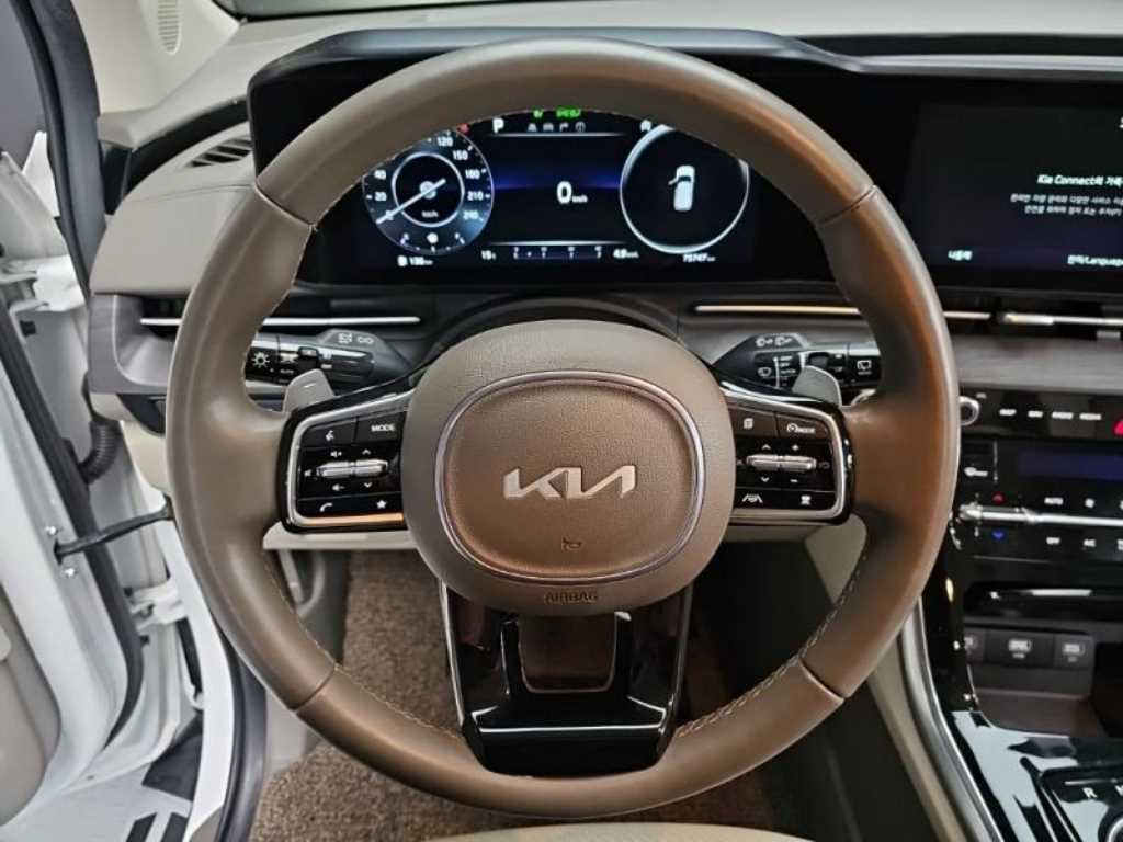 KIA Carnival - Vista 7