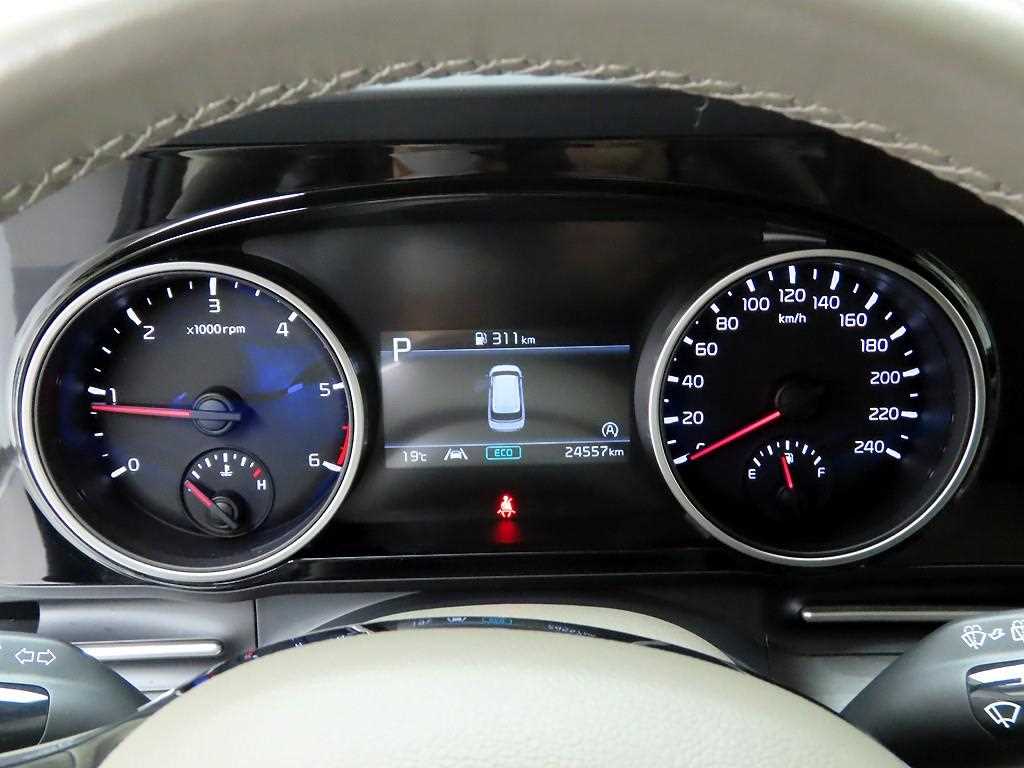 KIA Carnival - Vista 6