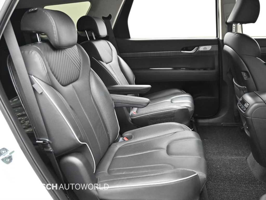 HYUNDAI Palisade - Vista 12