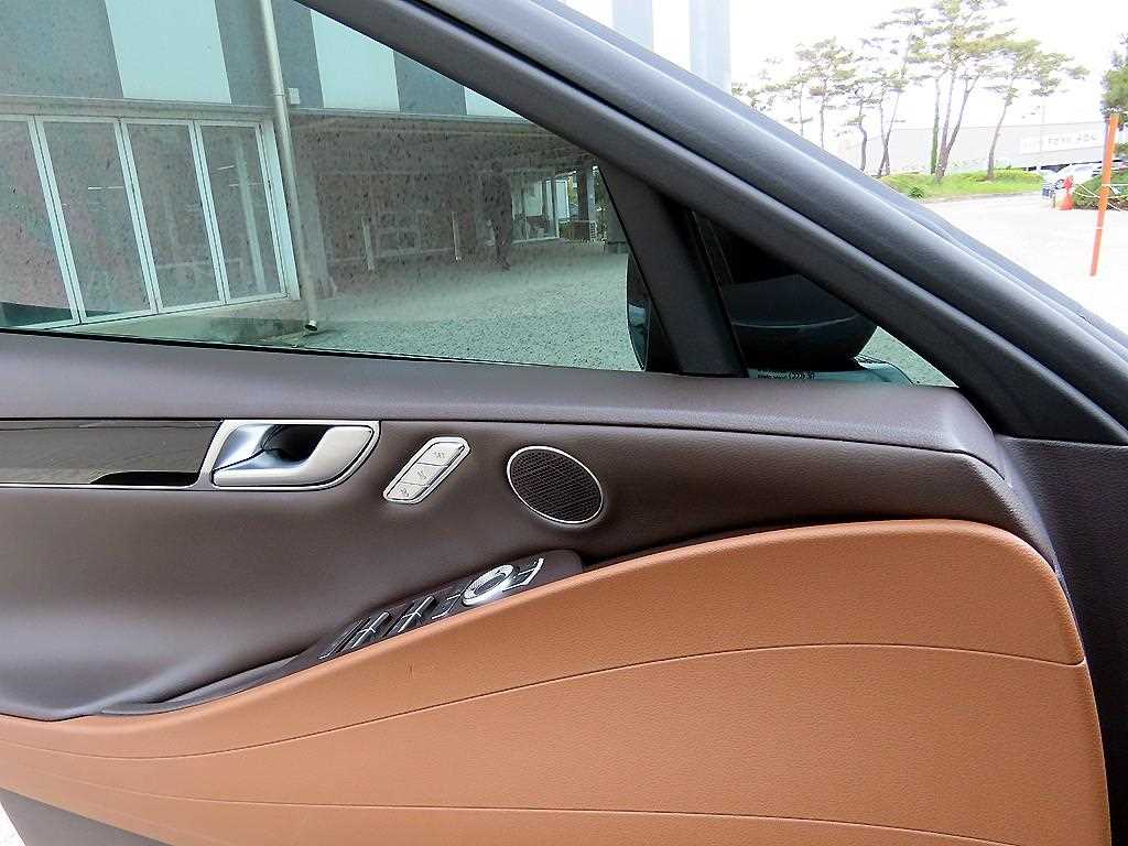 Genesis G80 - Vista 12