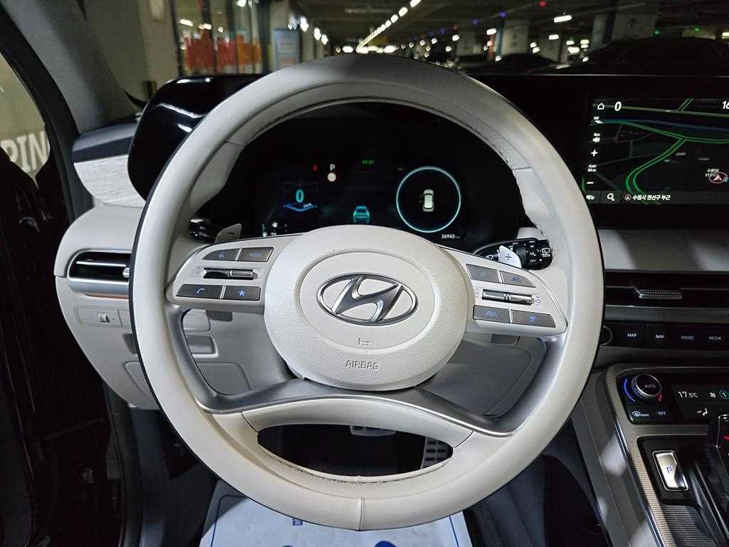 HYUNDAI Palisade - Vista 9