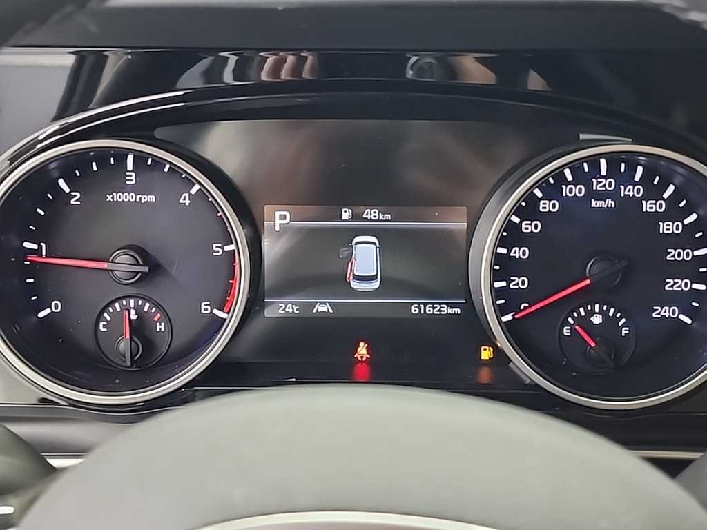 KIA Carnival - Vista 6