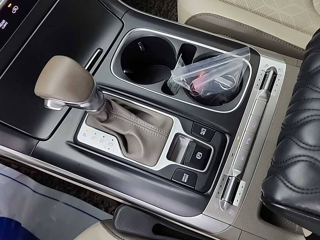 KIA Carnival - Vista 8