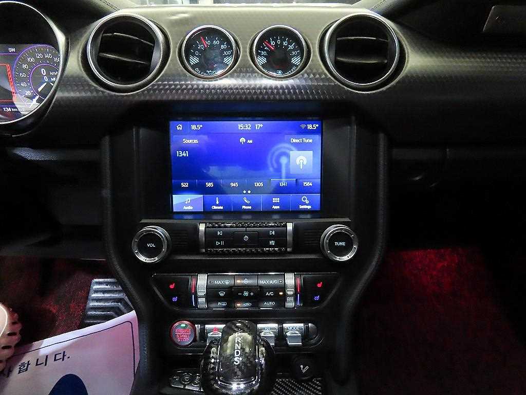 Ford Mustang - Vista 11