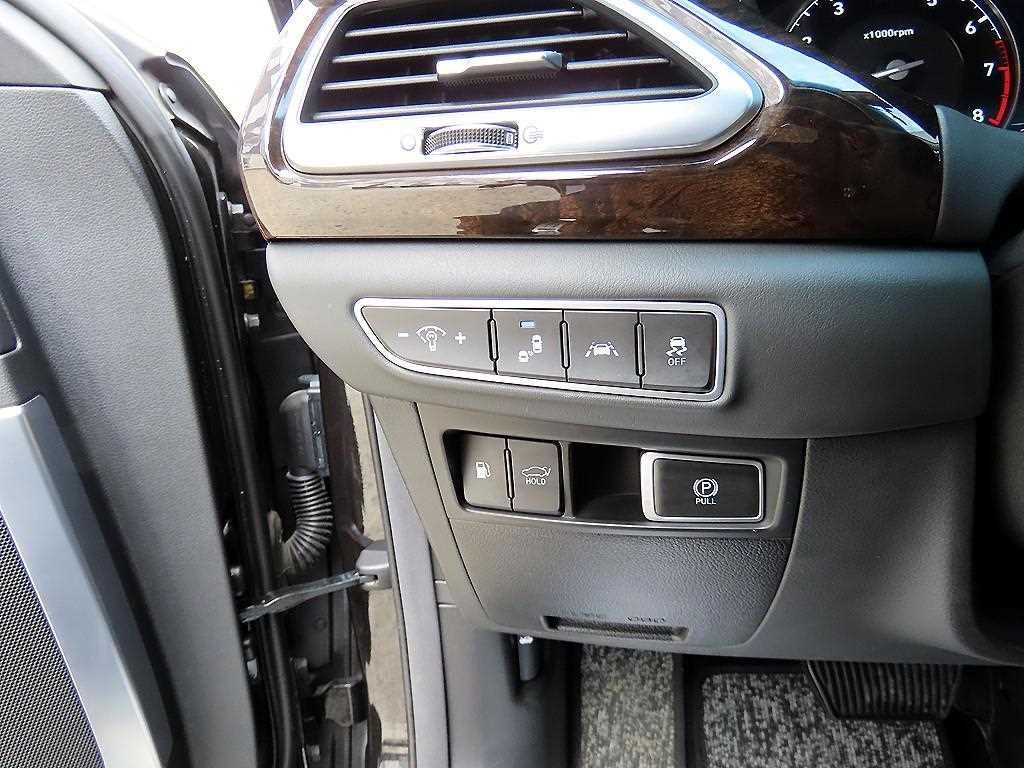 Genesis G90 - Vista 12