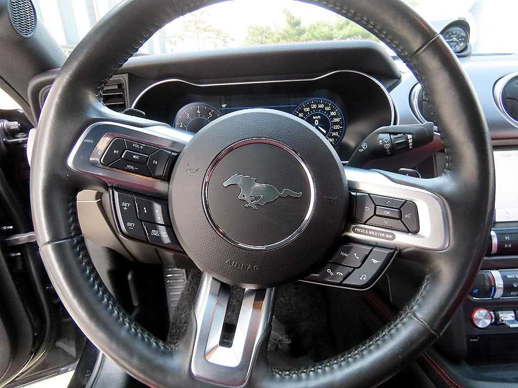 Ford Mustang - Vista 8